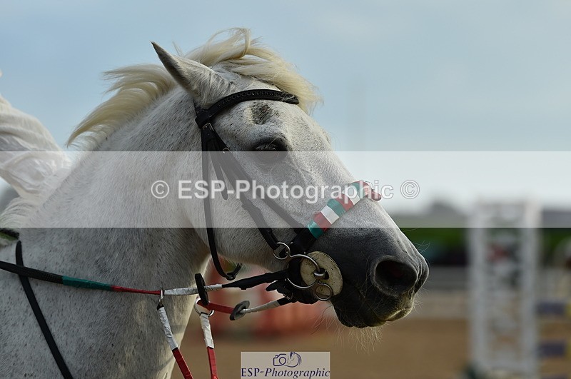 230902A-180740-02466 - Evening Ride and Run