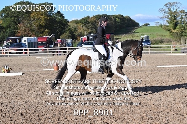 BPP_8901 - LONG ARENA NOVICE 6