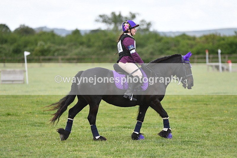 WJ5_3213 - Class 4 60cm