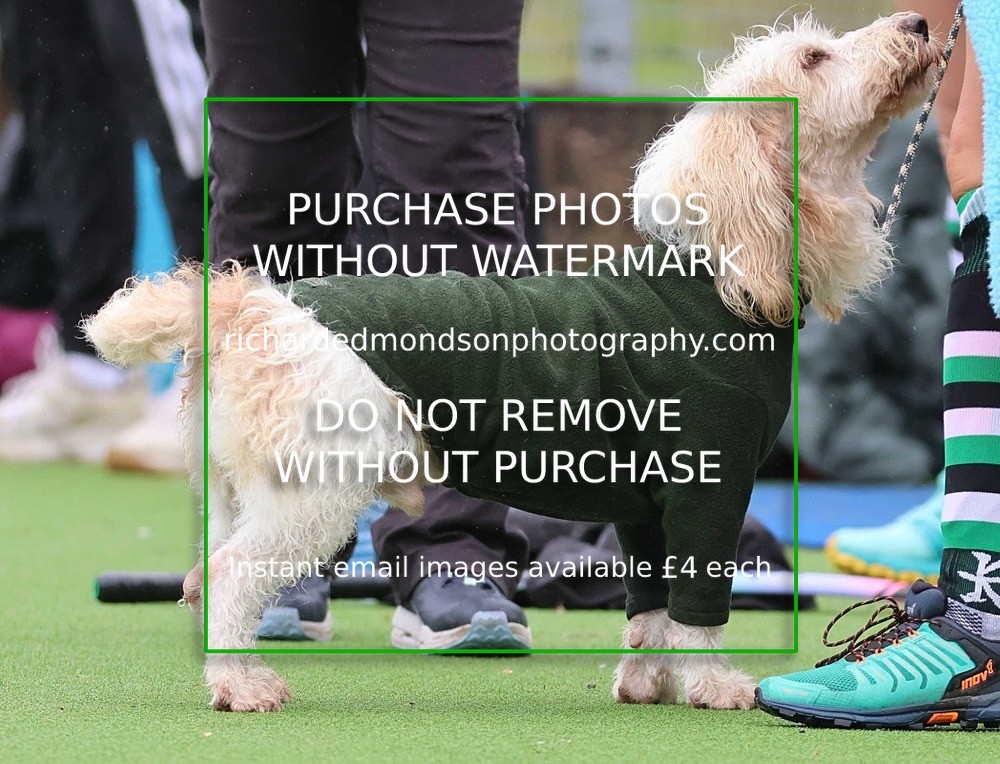 533A1534 - Ambleside Hockey vs Keswick Hockey (20/9/25)