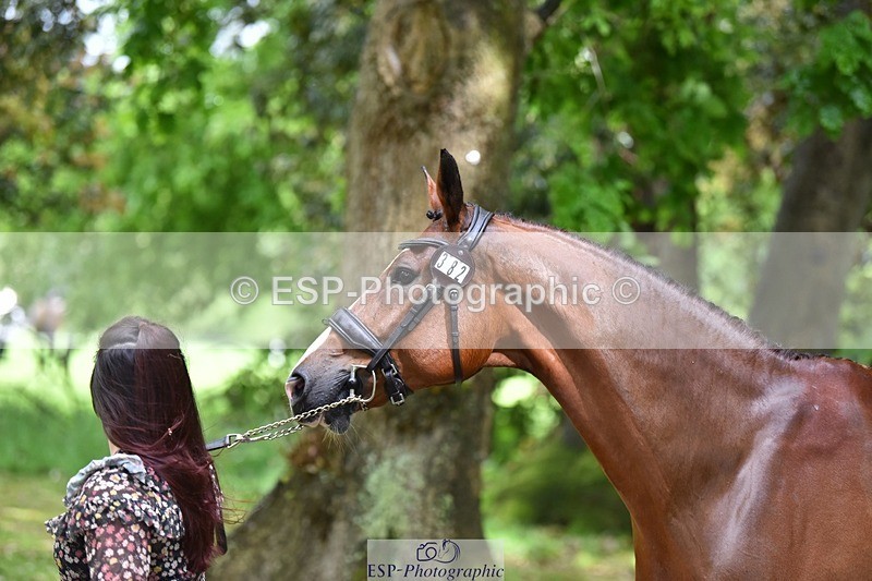 240522-153810-00487 - 382-WIL_JACK_B_KING-Charlotte_Parry-Ashcroft