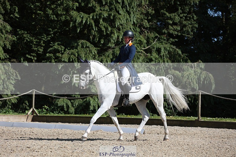 230526-162950-07830 - 172-VELOUMANI_TESS_LY-Aliene_Ruyter-WEDTrotUp+DR