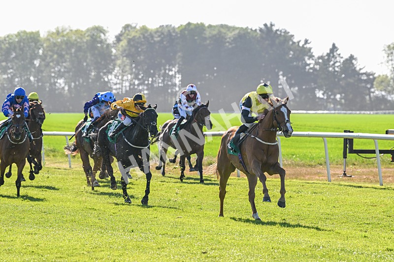 170525-Race 7-Capital Guarantee-8876 - Race 7