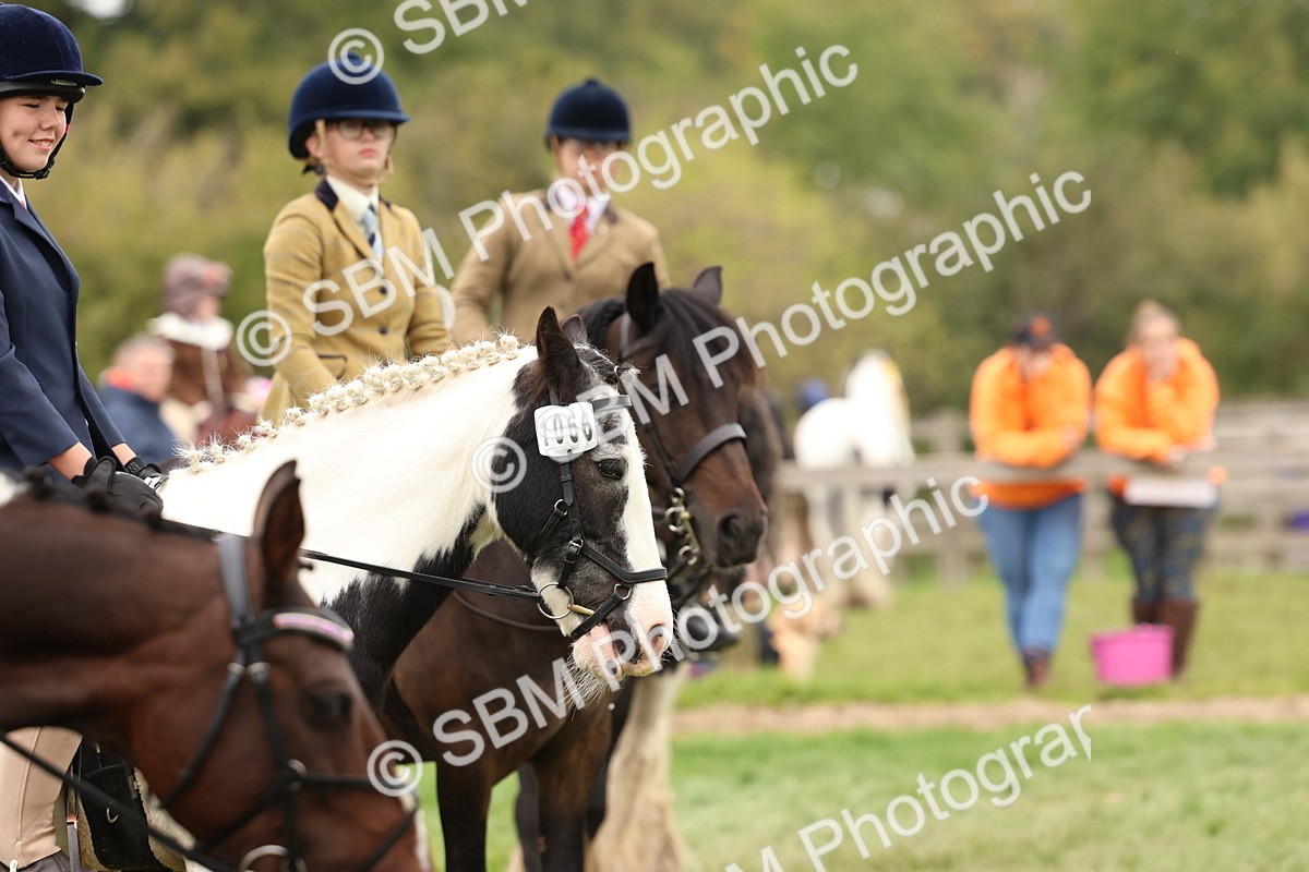 SBM_59979 - S36 - Rehabiliated Rescue Horse & Pony In Hand & Ridden