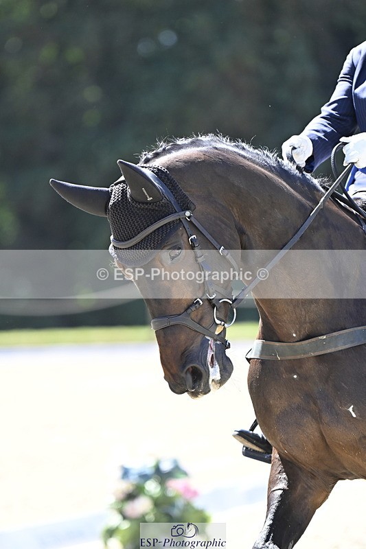 250522A-112438-03093 - B-319-Ali.Wilkes-JAZZ.ROOS