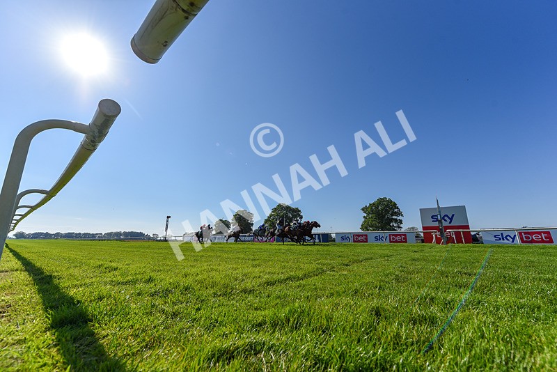 180524-Race 6-Diamondonthehill-Yorkshire-6599 - Race 6