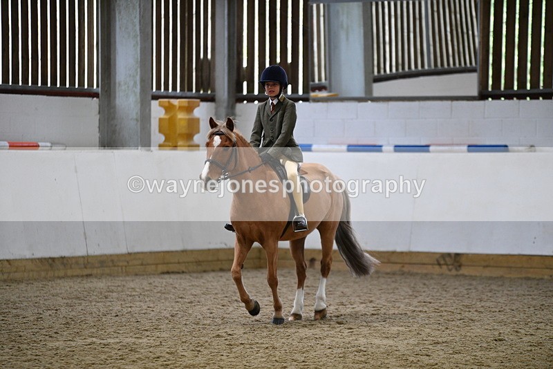 WJ5_6822 - Class 10 Childs Pony