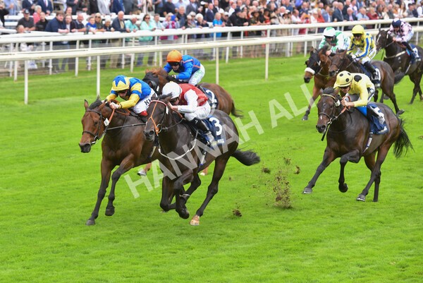 yr24092021r2-27 - Race 2 2.05pm William Hill Extra Places Races Stakes