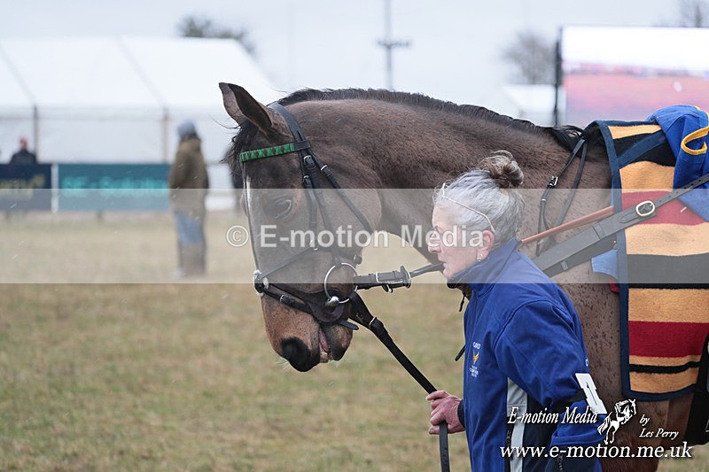 PtP 260125 127 - Cocklebarrow Point-to-Point racing with the Heythrop Hunt 26/01/25