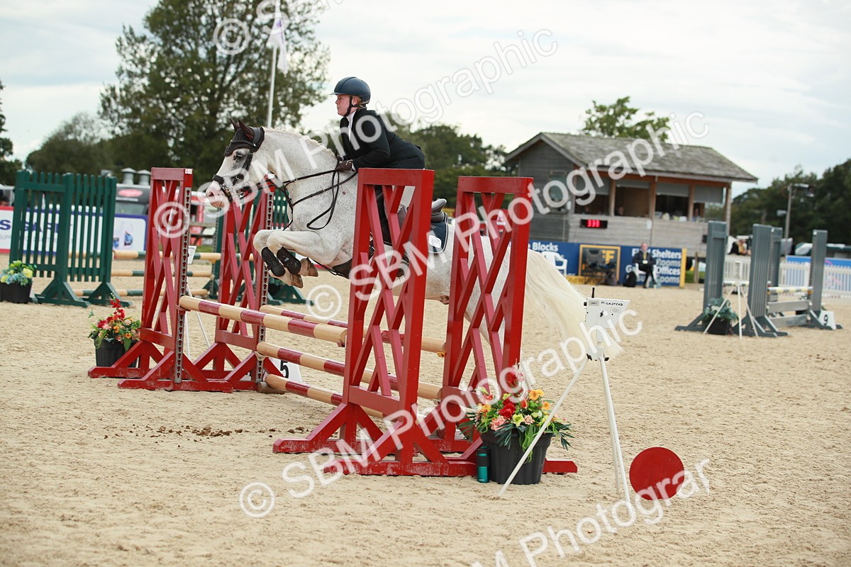 SBM_10095 - J31 Senior 75cm Championship
