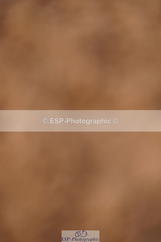 240526A-090552-06987 - Cls 30 Snr 1.20m Open