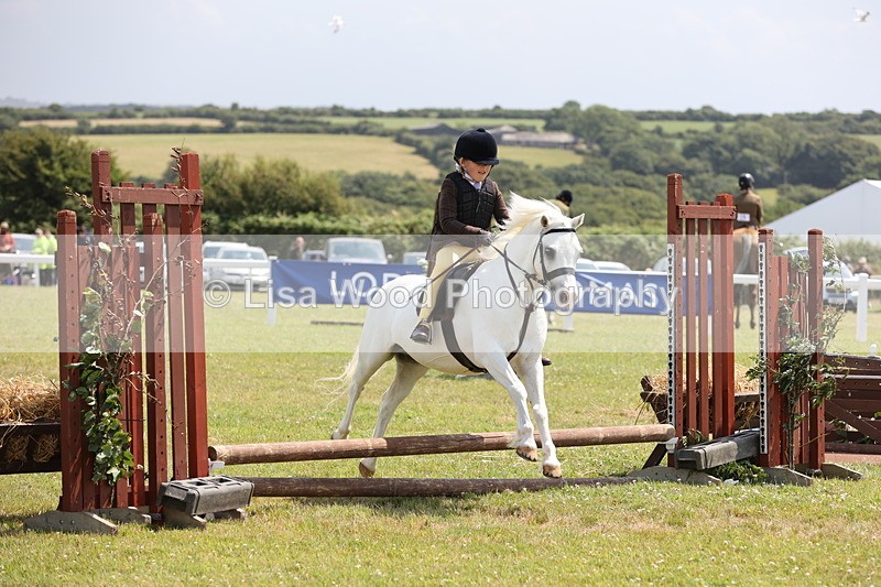 JPP_1842 - Class 18: Tiny Tots Working Hunter Pony