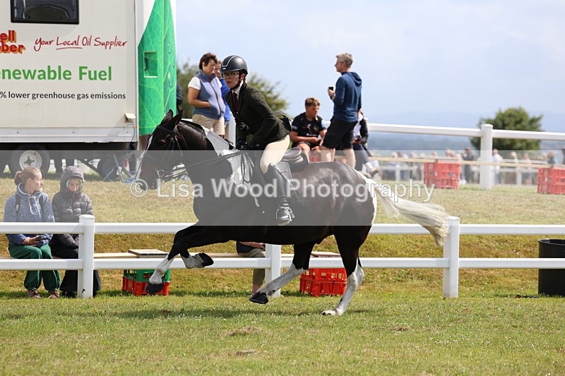 3E7A9788 - Class 5: Rising Star Lightweight/Heavyweight Cobs