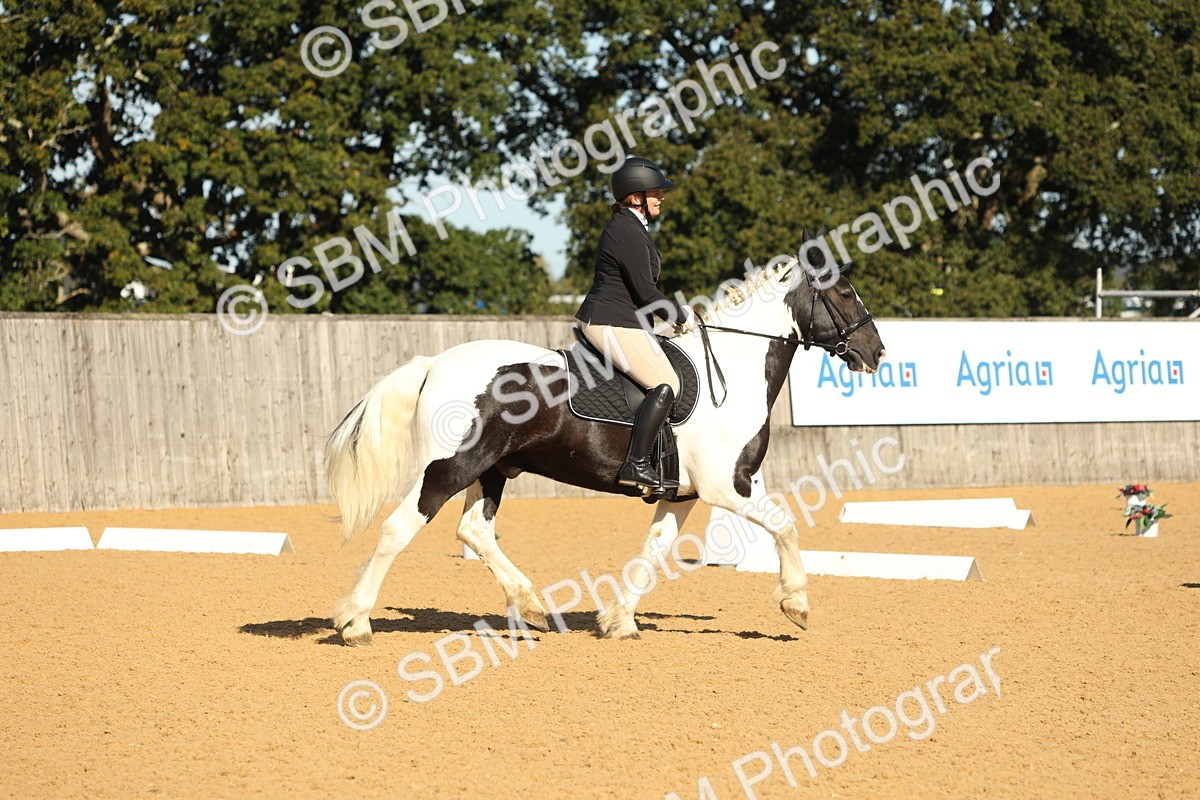 SBM_16570 - D10 - Small Tour Championship - Prelim 2