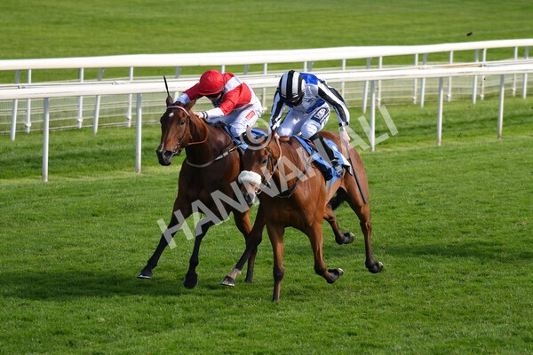 yr13052021r7-18 - Race 7 4.50pm Autohorn Stakes