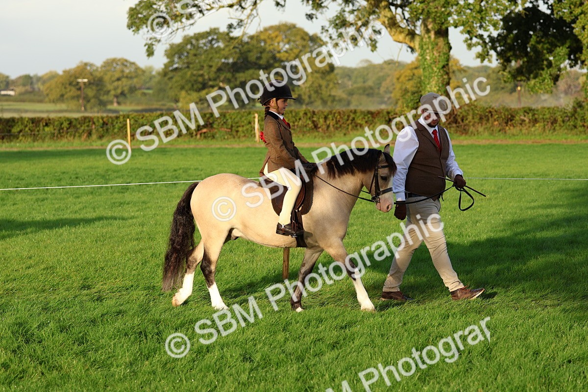 SBM_32752 - S8 - Best Turned Out