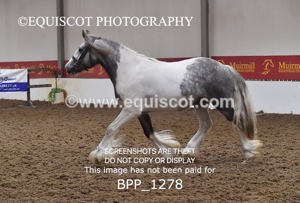 BPP_1278 - MORNING 9AM - 12PM