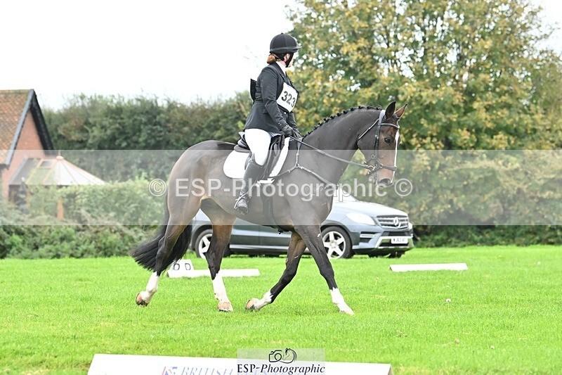 241024-121023-02650 - 323-Nicky.Blastland-FOUNDATIONS.HUSTLER