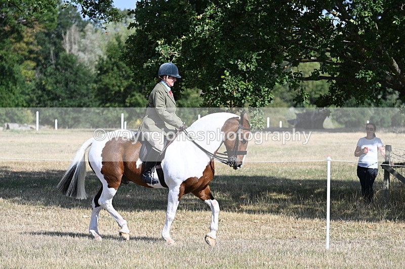 WJ7_2783 - Class 8 Ridden Tack & Turnout
