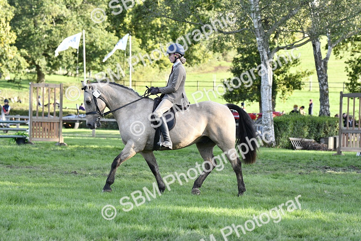 SBM_53512 - S14 - Riding Club Horse