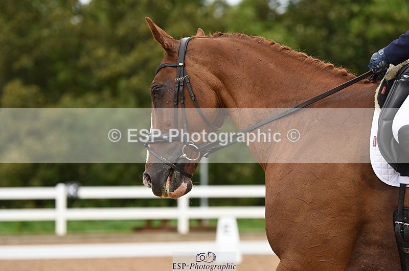 230912A-121204-00734 - Cls 8 Elementary 59