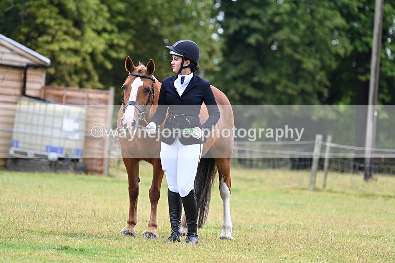 WJ7_6395 - Class 4a Prettiest Mare over 14hh