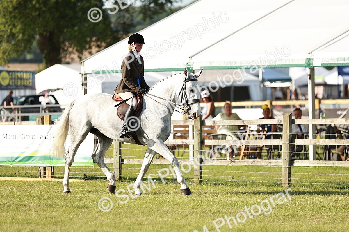 SBM_20080 - Class 115-116 - LIHS BSHA Rising Star Working Hunter & Show Horse