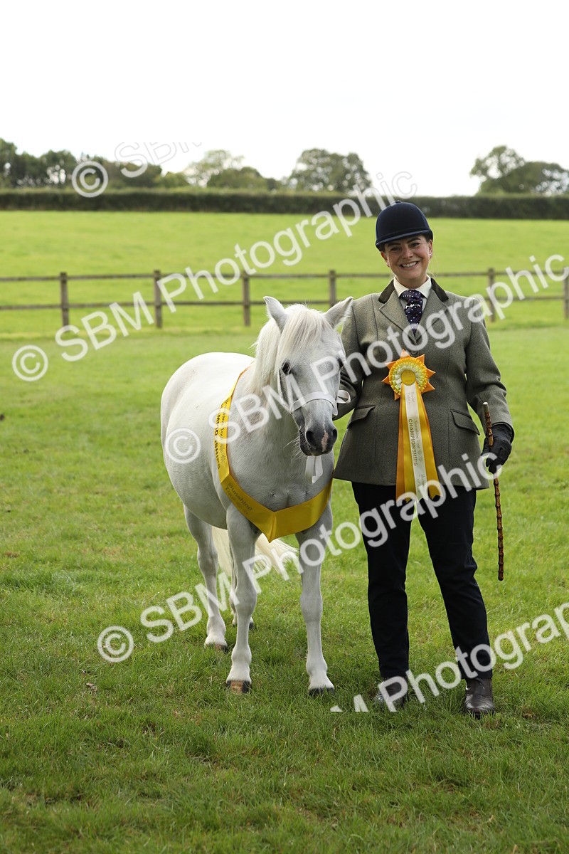 SBM_62838 - S46 - Mountain & Moorland In Hand Small Breeds