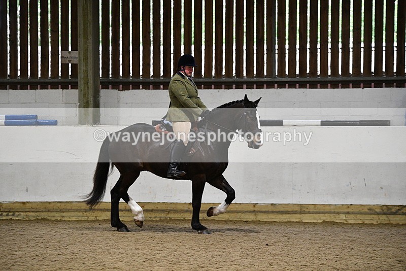 WJ5_8267 - Class 14 Novice Ridden/Rider