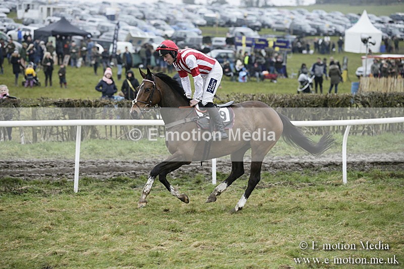 PtP 020418 -120 - Old Berks Point-to-Point Races Easter Monday 02/04/18
