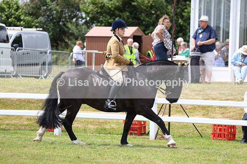 3E7A1923 - Class 10: Open Cob