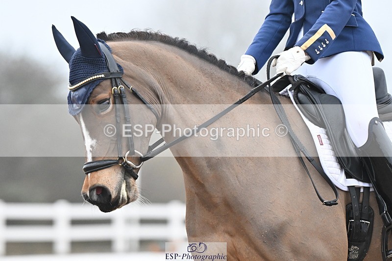 240217A-093027-00371 - 215-Olivia.Luscombe-Caederwin.Lady.Elinor