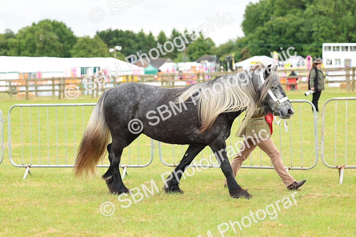 SBM_00593 - Class 58-67 - M&M Non Welsh Pony In hand