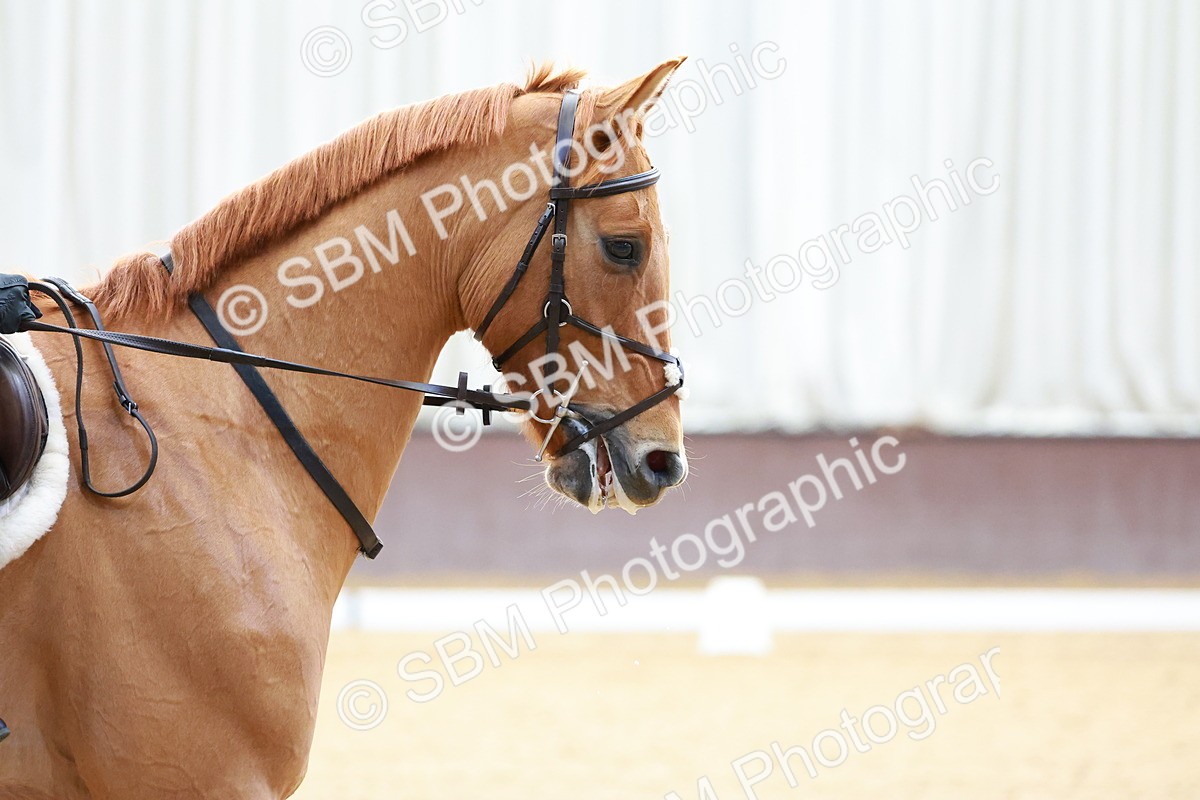 SBM_000011 - Class 1 - Intro 1