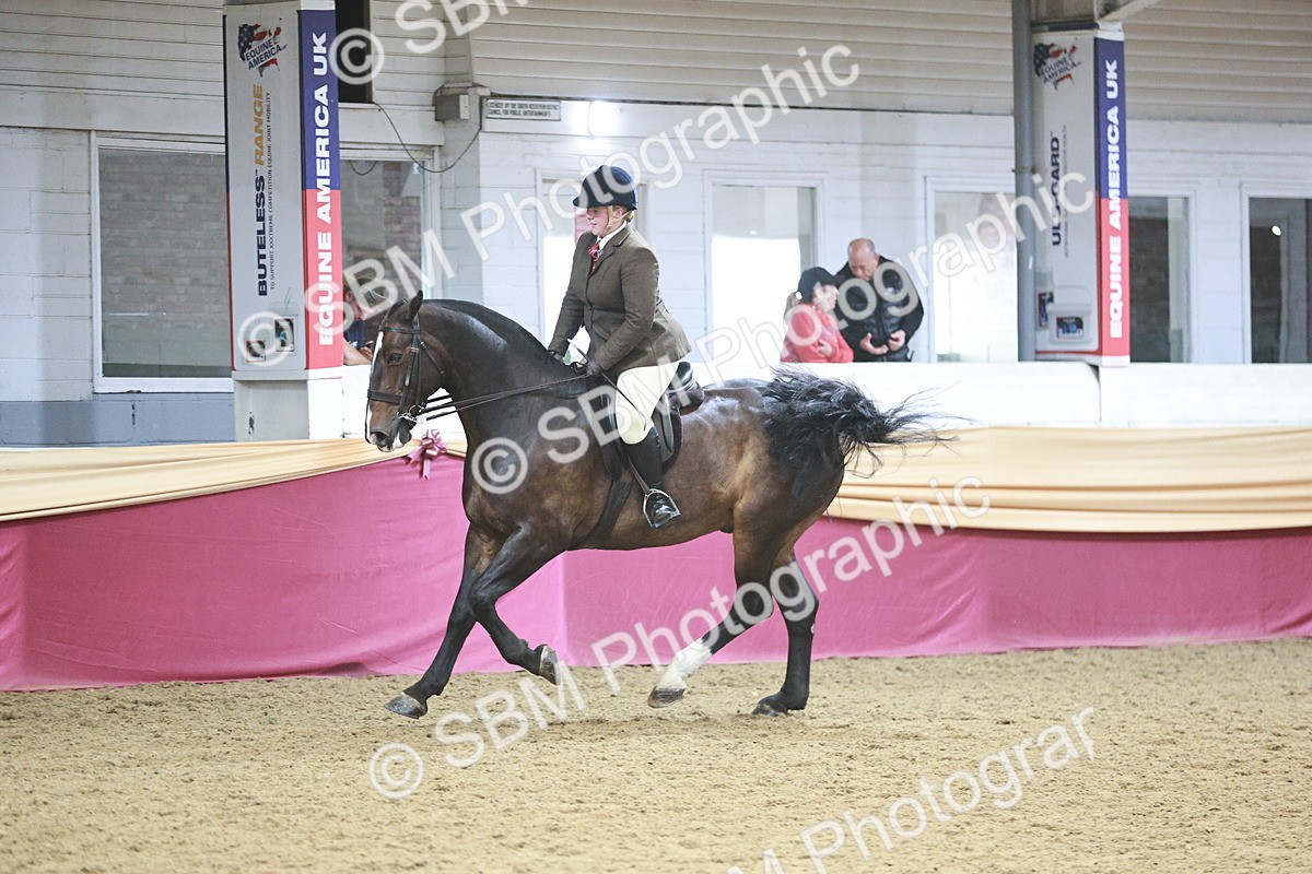 SBM_08856 - Class 12R - Regional Ridden Pre-Vet