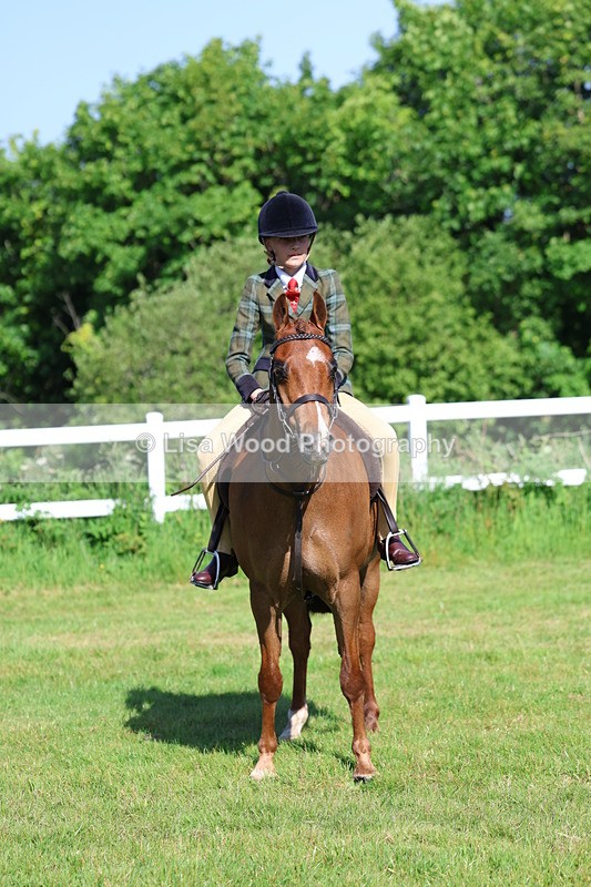 3E7A6023 - Class 27: Novice Working Hunter Pony