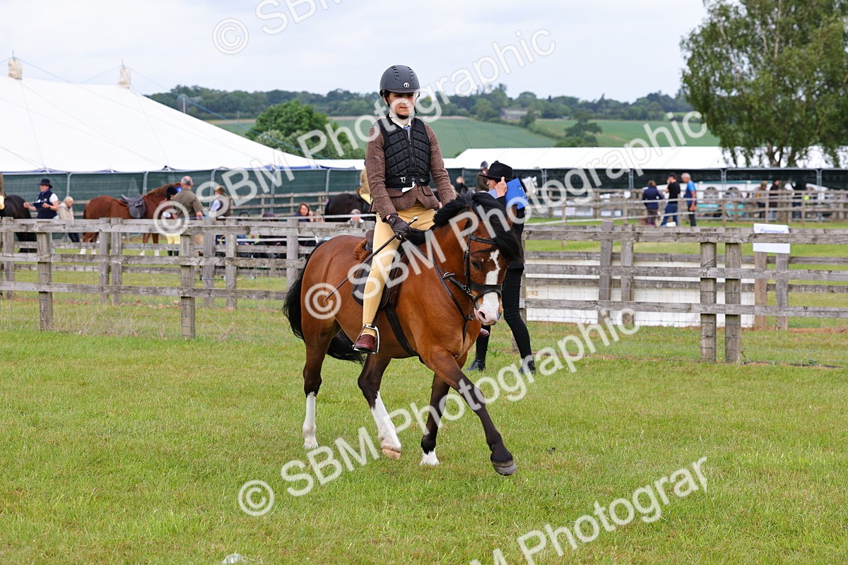 SBM_08559 - Class 42-43 - LIHS BSPS Heritage Working Sports Pony