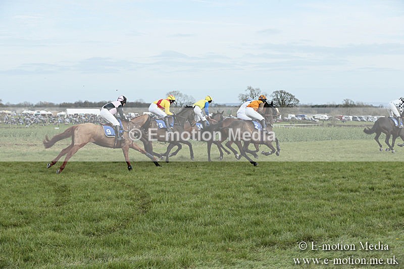 PtP 230319 271 - VWH Hunt Siddington Point-to-Point Racing 23/03/19
