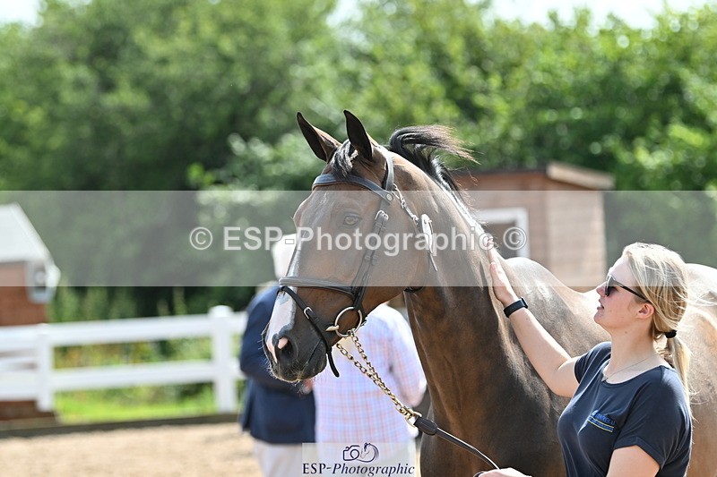 240717A-154627-03060 - Trot Up 3pm to 4pm