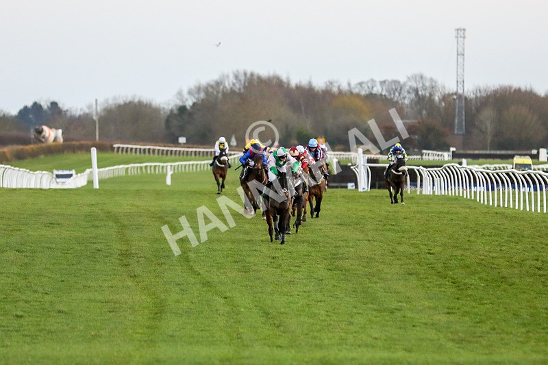 191223-Race 7-Wilful-2916 - Race 7