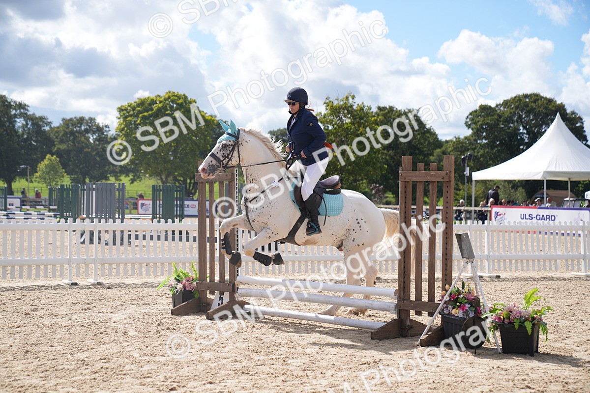 SBM_04119 - J34 Veteran 50cm Championship