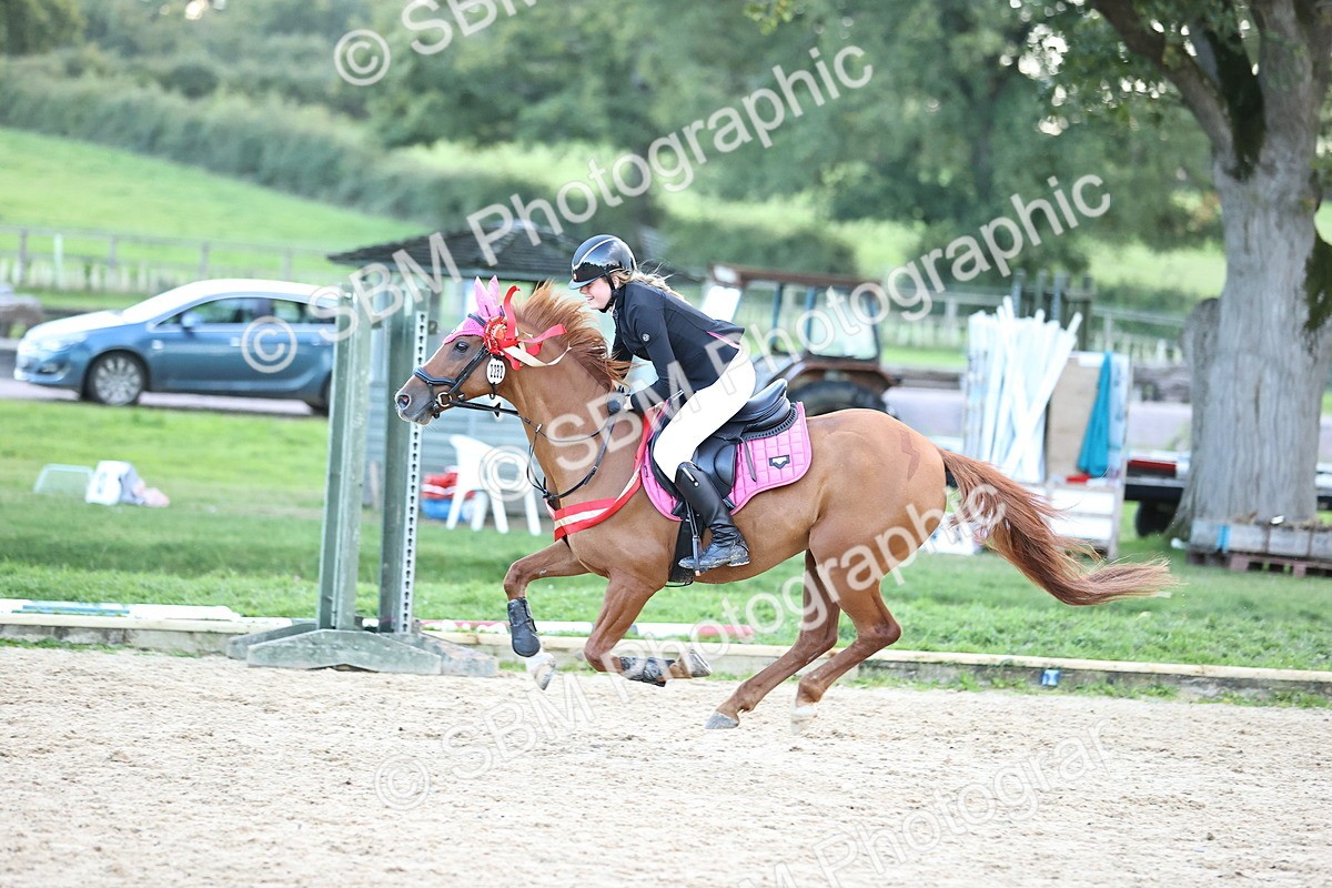 SBM_54451 - Supreme Championship 70cm 75cm