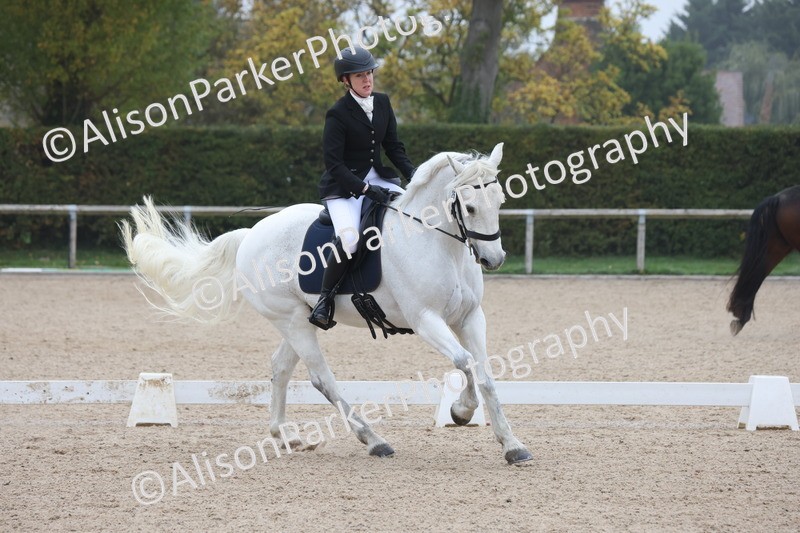 20251012-0406 - Class 3 - Novice 5