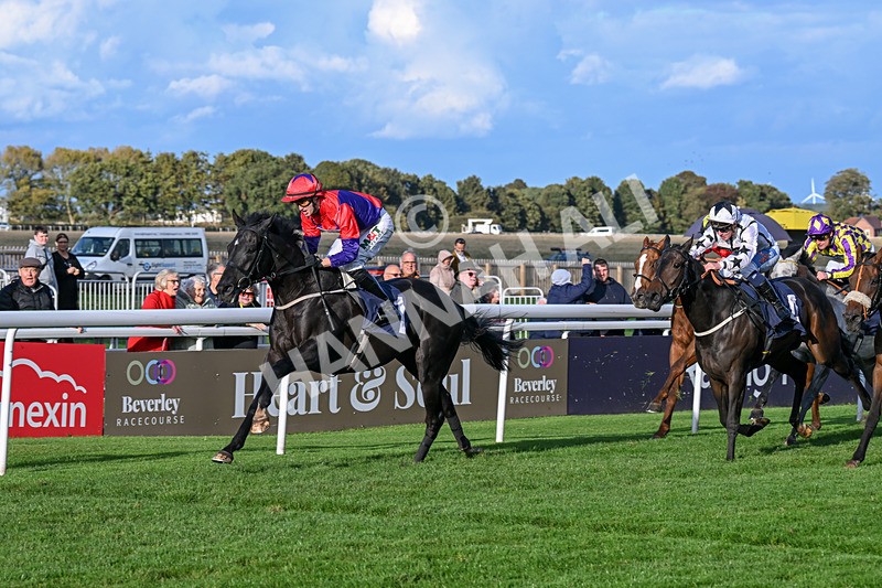 240924-Race 7-It Just Takes Time-6929 - Race 7