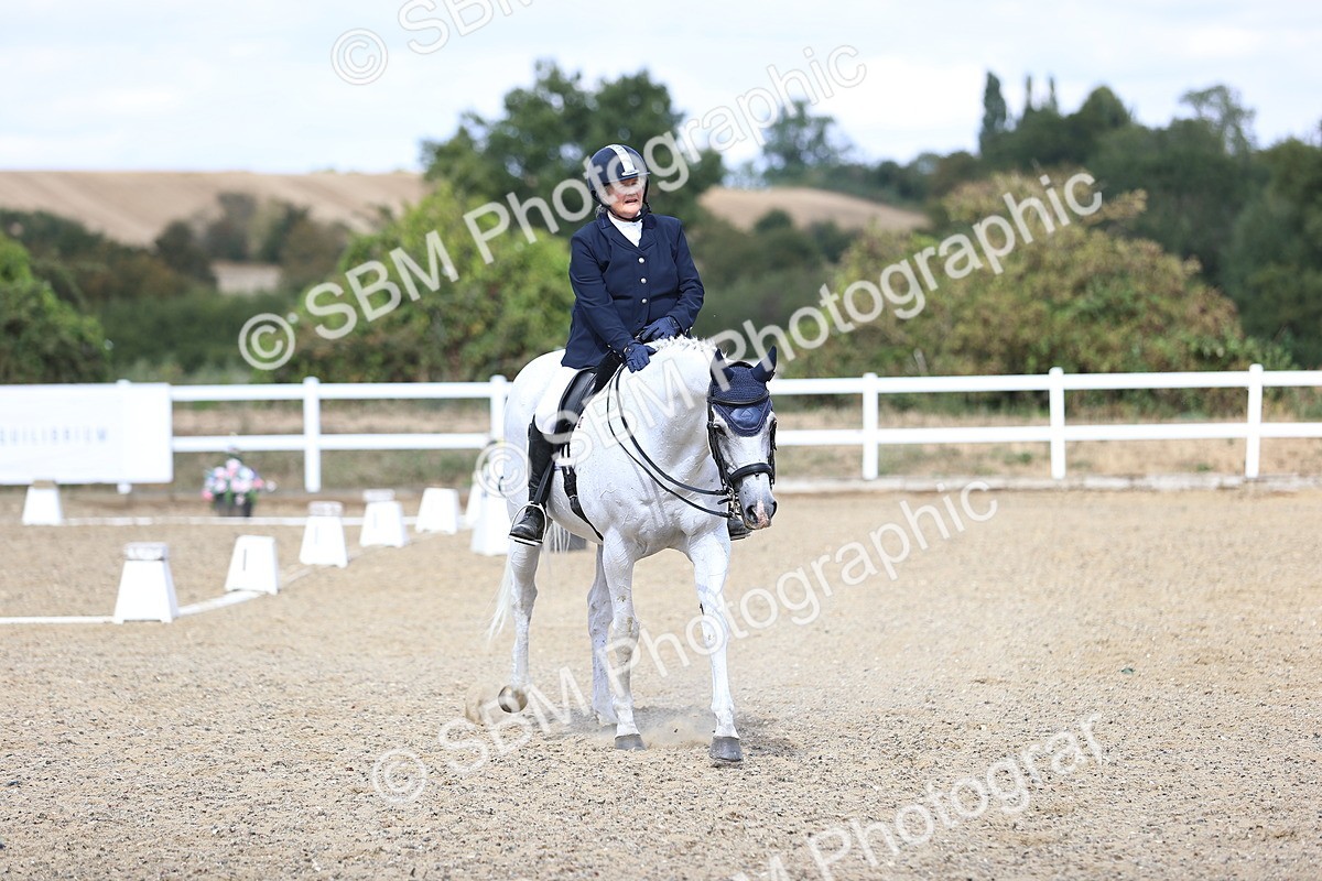 SBM_014606 - Class 5 - E5 Bronze 13.30.14.18
