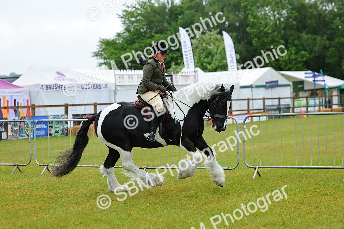 SBM_00908 - Class 1-4 - BSPA Ridden