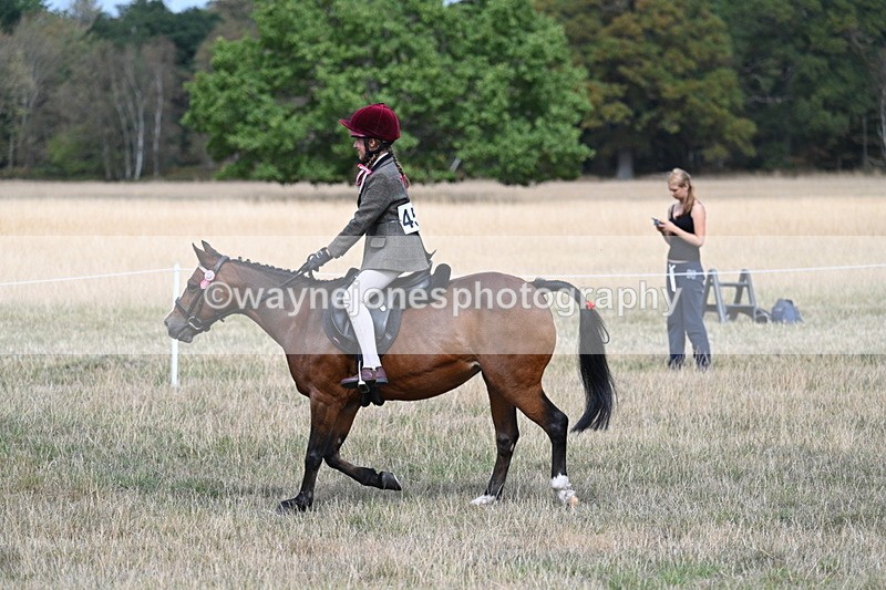 WJ7_5824 - Class 13 Ridden Veterans