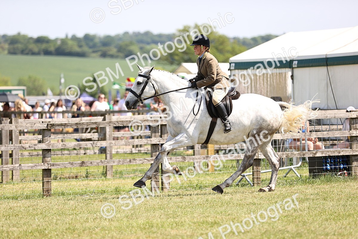 SBM_15172 - Class 79-80 - LIHS BSHA Rising Star Ridden Hunter