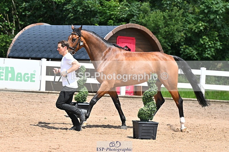 240718A-105259-01414 - Trot Up 12pm to 1pm