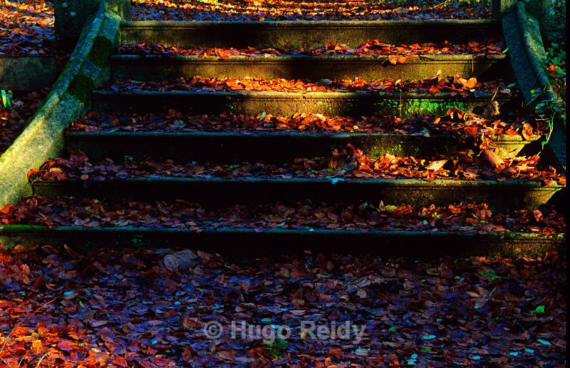  - Some Selected Images